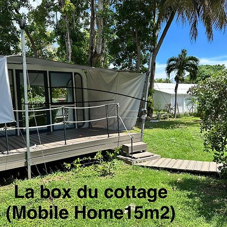 Le Cottage De Castaing Sur Plage Privee Sainte-Anne  Εξωτερικό φωτογραφία