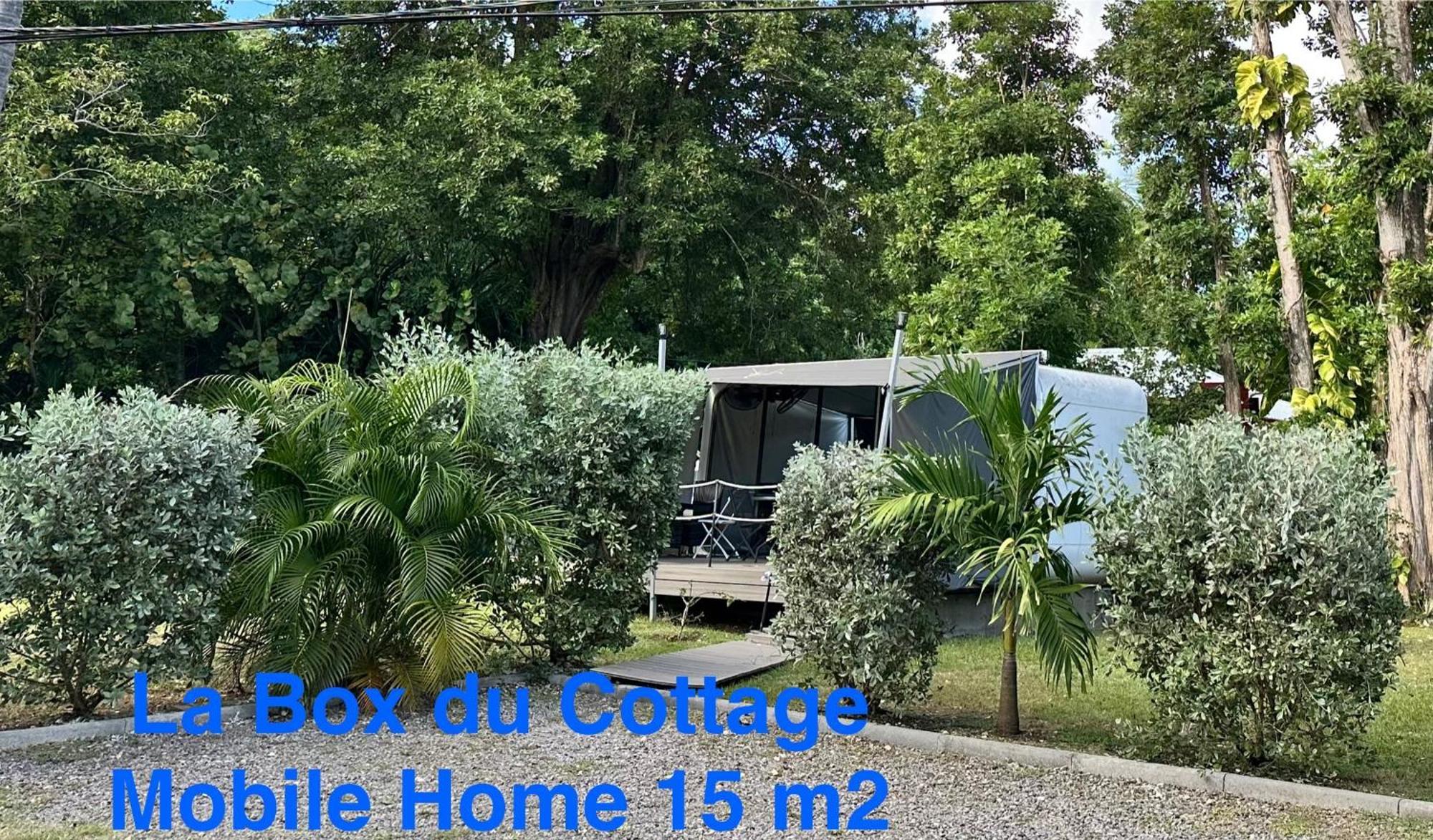 Le Cottage De Castaing Sur Plage Privee Sainte-Anne  Εξωτερικό φωτογραφία
